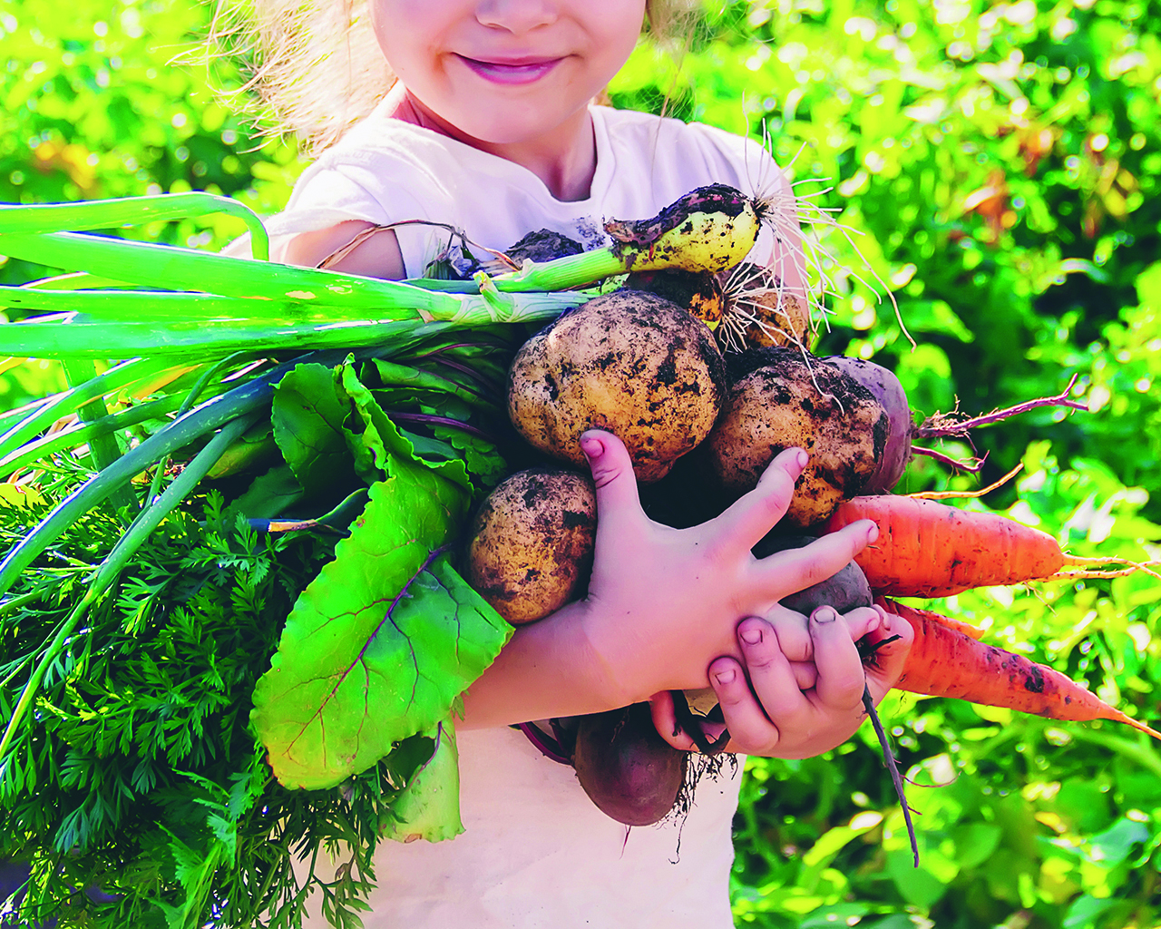 Petite fille tenant des légumes tout juste sortis de terre